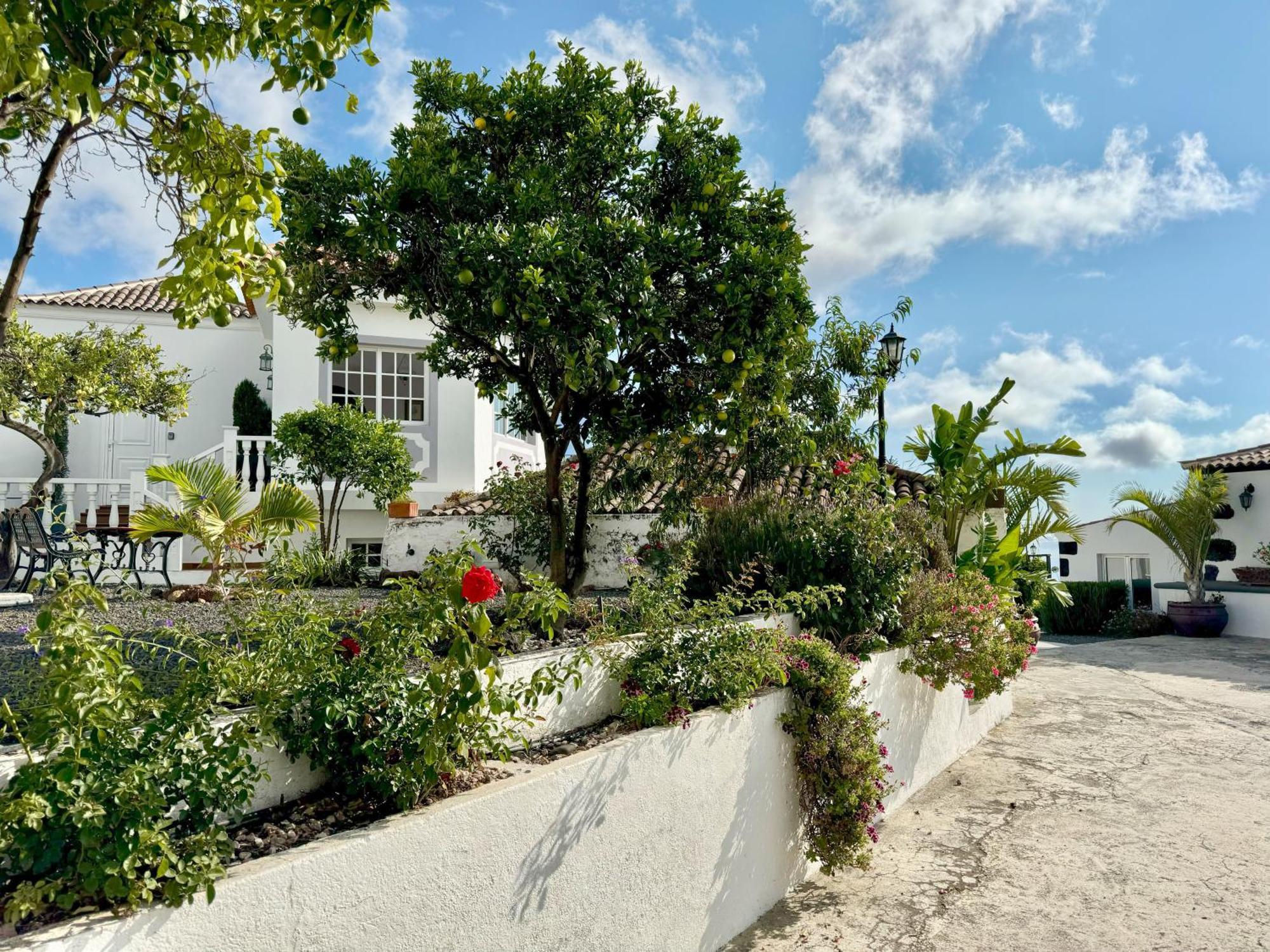אל פאסו Casa Vista Mar 2 Los Laureles מראה חיצוני תמונה